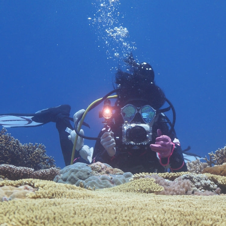 PULUZ Dual Handles Aluminium Alloy Tray Stabilizer for Underwater Camera Housings(Black) - Diving Accessories by PULUZ | Online Shopping South Africa | PMC TechLife | Buy Now Pay Later Mobicred