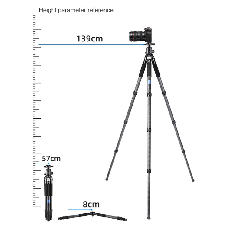 BEXIN RC294 Portable Collapsible Carbon Fiber Camera Tripod - free shipping - PMC TechLife - Order now!