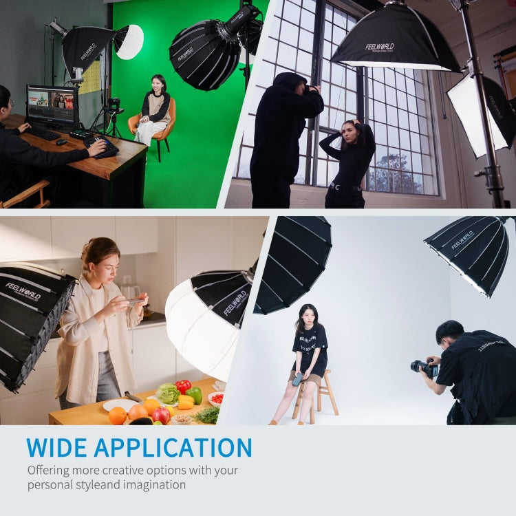 FEELWORLD FL125D 125W Daylight Point Source Video Light, Bluetooth APP Control(AU Plug) - free shipping - PMC TechLife - Order now!