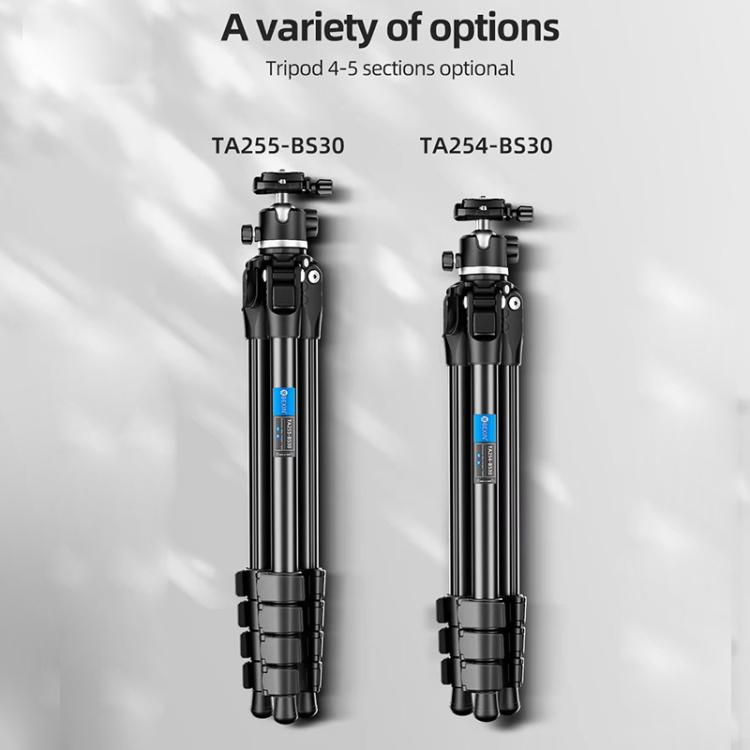 BEXIN TA255-BS30 Portable Collapsible Aluminum Alloy Camera Tripod with Head (Black) - free shipping - PMC TechLife - Order now!