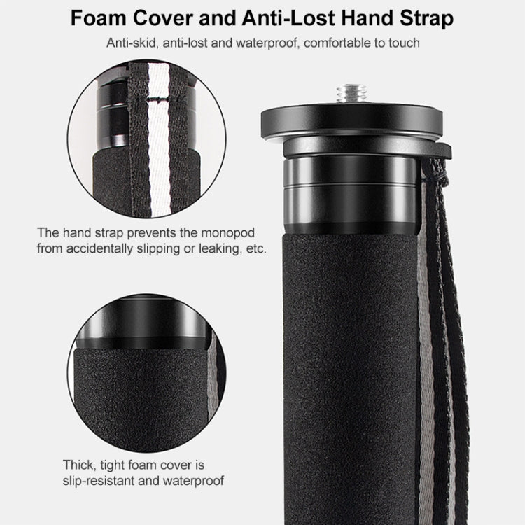 BEXIN P365C Camera Carbon Fiber Monopod Travel Live Selfie Bracket Holder - Monopods by BEXIN | Online Shopping South Africa | PMC TechLife | Buy Now Pay Later Mobicred