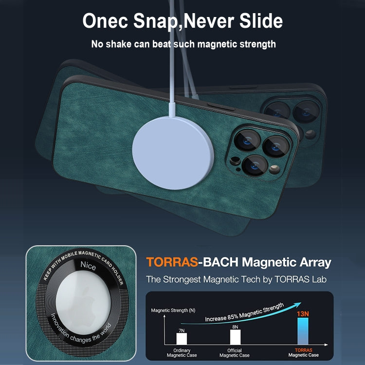 For iPhone 11 Pro Skin Feel Leather MagSafe Magnetic Phone Case(Green) - iPhone 11 Pro Cases by PMC TechLife | Online Shopping South Africa | PMC TechLife