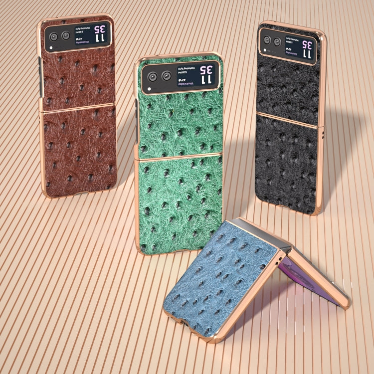 For Motorola Razr 40 Nano Plating Genuine Leather Ostrich Texture Phone Case(Black) - Motorola Cases by PMC TechLife | Online Shopping South Africa | PMC TechLife | Buy Now Pay Later Mobicred