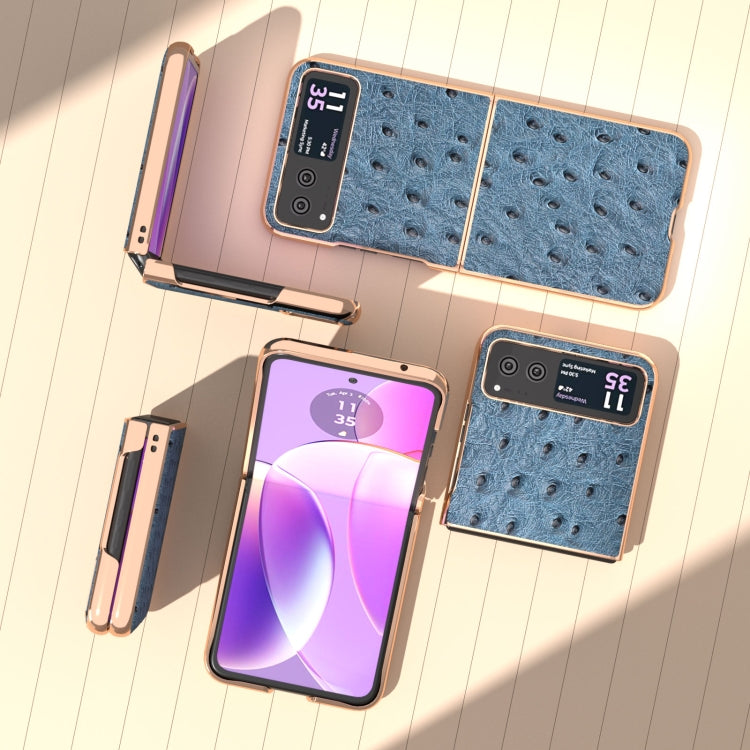 For Motorola Razr 40 Nano Plating Genuine Leather Ostrich Texture Phone Case(Blue) - Motorola Cases by PMC TechLife | Online Shopping South Africa | PMC TechLife | Buy Now Pay Later Mobicred