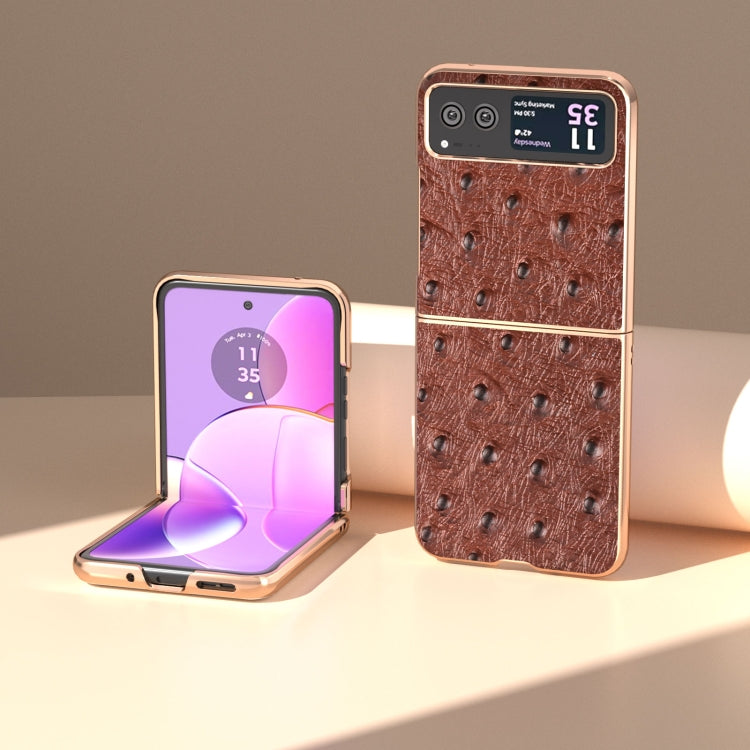 For Motorola Razr 40 Nano Plating Genuine Leather Ostrich Texture Phone Case(Coffee) - Motorola Cases by PMC TechLife | Online Shopping South Africa | PMC TechLife | Buy Now Pay Later Mobicred