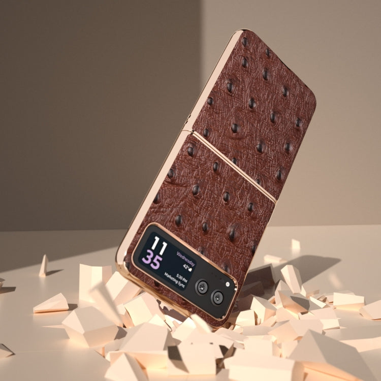 For Motorola Razr 40 Nano Plating Genuine Leather Ostrich Texture Phone Case(Coffee) - Motorola Cases by PMC TechLife | Online Shopping South Africa | PMC TechLife | Buy Now Pay Later Mobicred