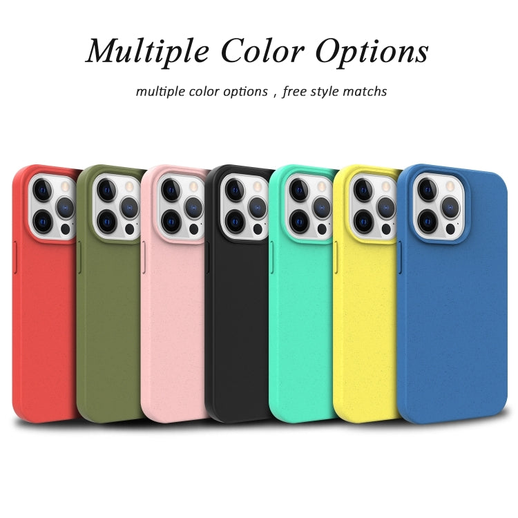 For iPhone 16 Pro Starry Series Shockproof Straw Material + TPU Protective Case(Army Green) - iPhone 16 Pro Cases by PMC TechLife | Online Shopping South Africa | PMC TechLife | Buy Now Pay Later Mobicred