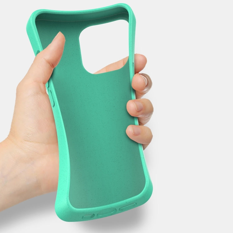 For iPhone 16 Pro Starry Series Shockproof Straw Material + TPU Protective Case(Army Green) - iPhone 16 Pro Cases by PMC TechLife | Online Shopping South Africa | PMC TechLife | Buy Now Pay Later Mobicred