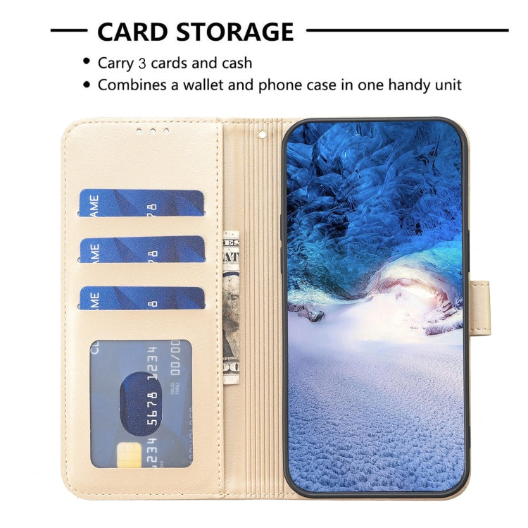 EDA006010123E_3.jpg@67a2e93f63802b9406502a1a747203a9