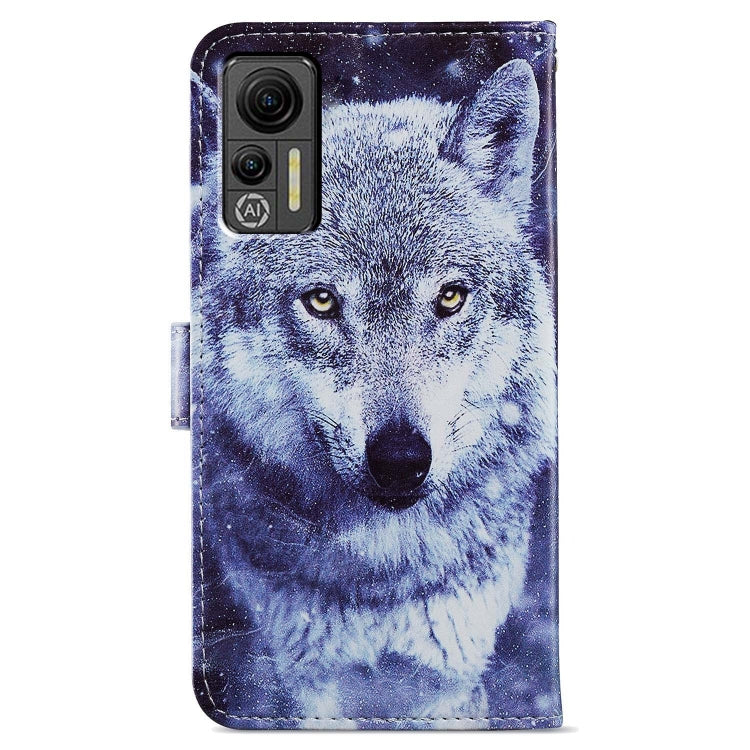 For Ulefone Note 14 Painted Pattern Horizontal Flip Leather Phone Case(White Wolf) - Ulefone Cases by PMC Jewellery | Online Shopping South Africa | PMC Jewellery | Buy Now Pay Later Mobicred