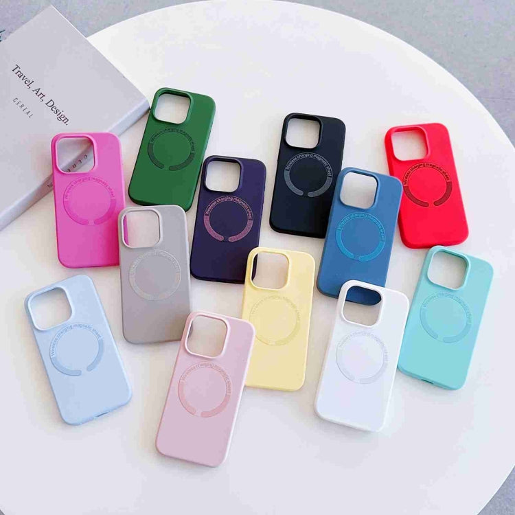 For iPhone 12 Pro Max MagSafe Magnetic Liquid Silicone Phone Case(Red) - iPhone 12 Pro Max Cases by PMC TechLife | Online Shopping South Africa | PMC TechLife
