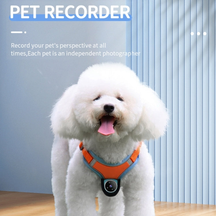 A9 Pet Recorder Tracking Playback IPX6 Waterproof(White) - Pet Tracker by PMC TechLife | Online Shopping South Africa | PMC TechLife | Buy Now Pay Later Mobicred