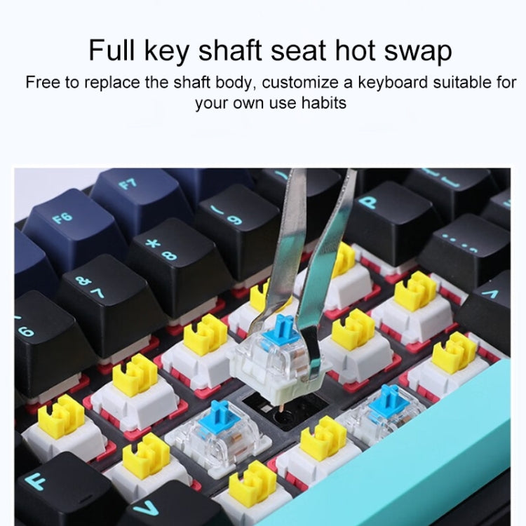 AULA F87 87 Keys Wired/2.4G/Bluetooth Three Model Customized RGB Mechanical Keyboard(Glacier Blue) - free shipping - PMC TechLife - Order now!