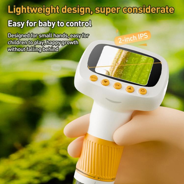 EDA0079592_B4.jpg@dad8de88751e39f8e4656b7a07b55142