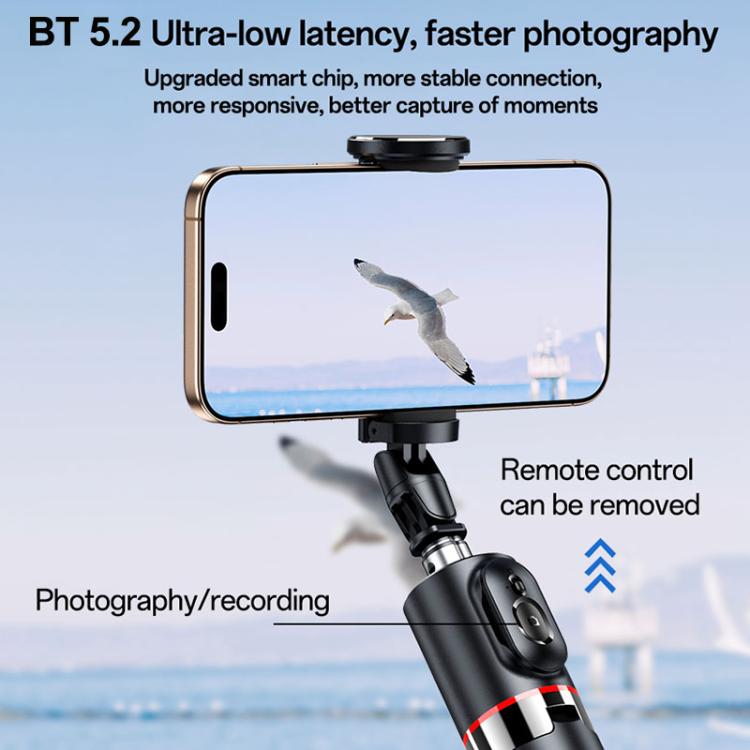 EDA008094101A_8.jpg@3fb4b502fd8e315221e09ed5cf579774