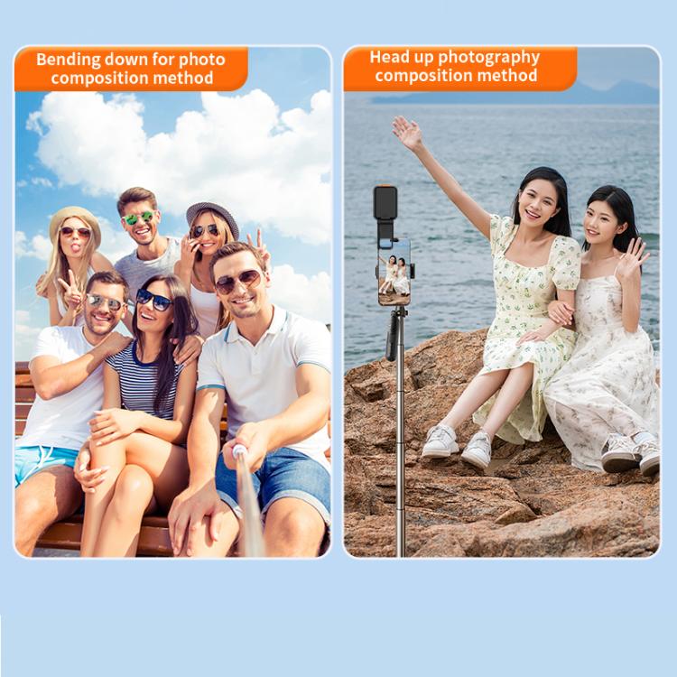 EDA0081587_B4.jpg@d9d8ed311bba33c3b2eb7906e3de6b58