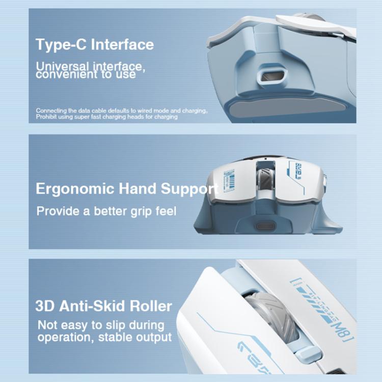 EDA0089679_B10.jpg@b16d8b43c77a2808944f9e1dbf19086b