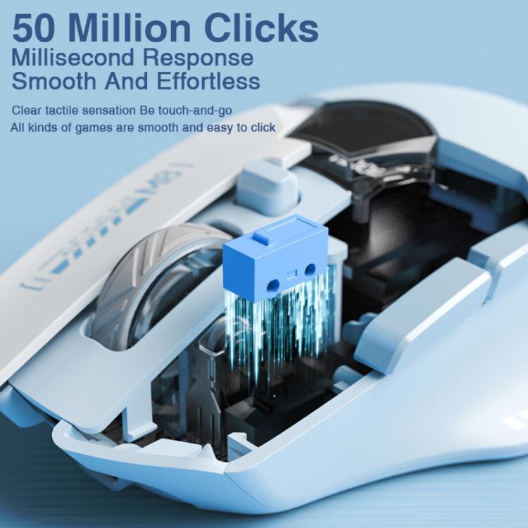 EDA0089679_B5.jpg@19a92297ab05af06d234ec97b06df869