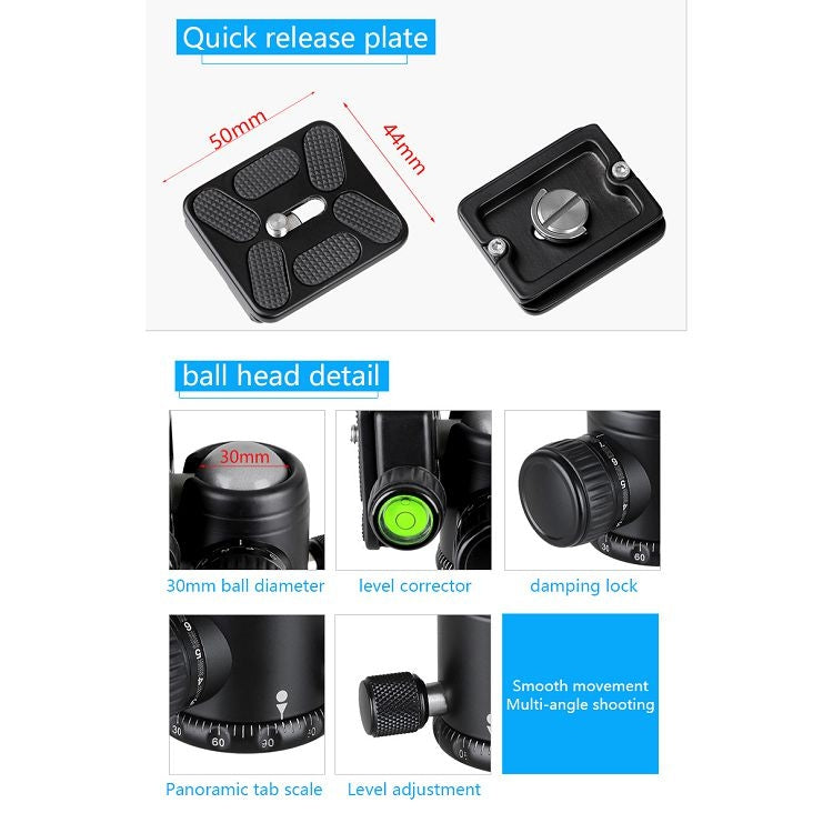 BEXIN BX255C K30 Portable Carbon Fiber Tripod for Camera Dslr - free shipping - PMC TechLife - Order now!