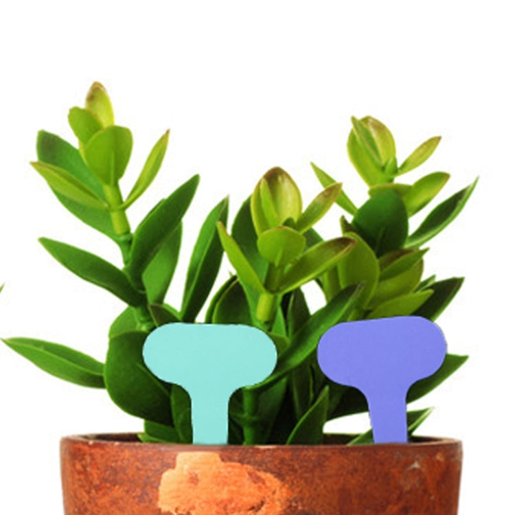 100PCS Floral Label Gardening Label Waterproof small card Insert Label Potted Label,Random Color Delivery - Yard & Garden Decor by PMC TechLife | Online Shopping South Africa | PMC TechLife | Buy Now Pay Later Mobicred