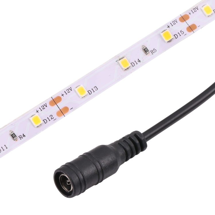 Bare Board 2835 SMD Dimmable White Light / Warm Light LED Rope Light, 60 LED/m, Length: 5m, 12V 2A 100-240V(UK Plug) - Bare Board Light by PMC TechLife | Online Shopping South Africa | PMC TechLife | Buy Now Pay Later Mobicred