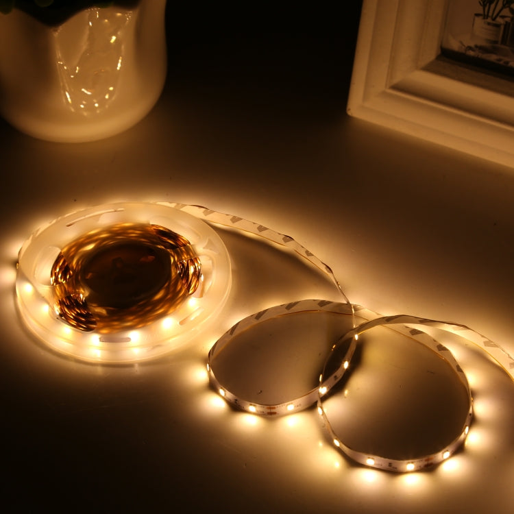 Bare Board 2835 SMD Dimmable White Light / Warm Light LED Rope Light, 60 LED/m, Length: 5m, 12V 2A 100-240V(AU Plug) - Bare Board Light by PMC TechLife | Online Shopping South Africa | PMC TechLife | Buy Now Pay Later Mobicred