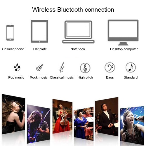 SD-306 2 in 1 Family KTV Portable Wireless Live Dual Microphone + Bluetooth Speaker(Black) - Microphone by PMC TechLife | Online Shopping South Africa | PMC TechLife | Buy Now Pay Later Mobicred
