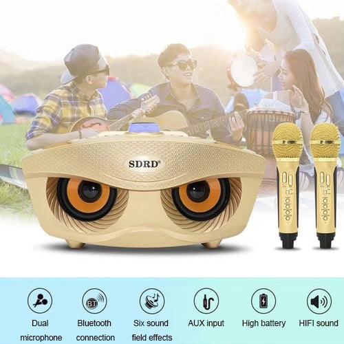 SD-306 2 in 1 Family KTV Portable Wireless Live Dual Microphone + Bluetooth Speaker(Black) - Microphone by PMC TechLife | Online Shopping South Africa | PMC TechLife | Buy Now Pay Later Mobicred