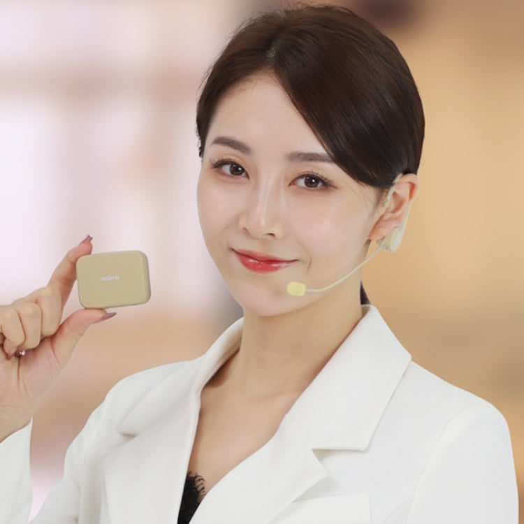 ASiNG  WM03 2.4G Wireless Microphone Headset Microphone Bluetooth Speaker Kit (Black) - Microphone by ASiNG | Online Shopping South Africa | PMC TechLife