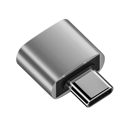 USB 2.0 Female to Type-C Male Adapter (Silver) - Cable & Adapters by PMC Jewellery | Online Shopping South Africa | PMC Jewellery | Buy Now Pay Later Mobicred