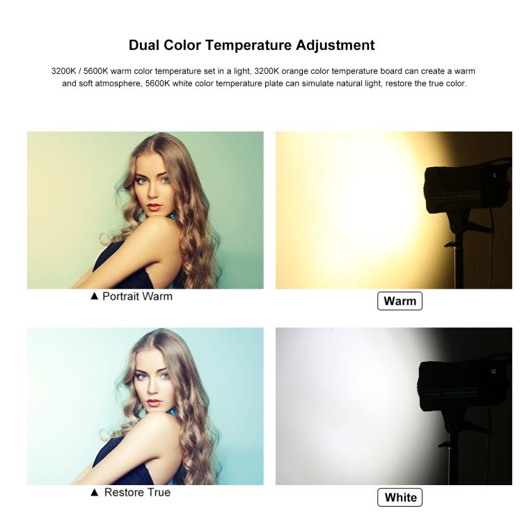 PULUZ 220V 120W Studio Video Light + 2.8m Light Holder + 65cm Foldable Lantern Softbox Photography Kit(EU Plug) - free shipping - PMC TechLife - Order now!