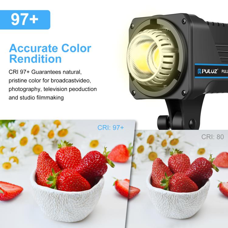 PULUZ 120W Photo Studio Strobe Flash Light Kit with Softbox Reflector & Tripod(US Plug) - free shipping - PMC TechLife - Order now!