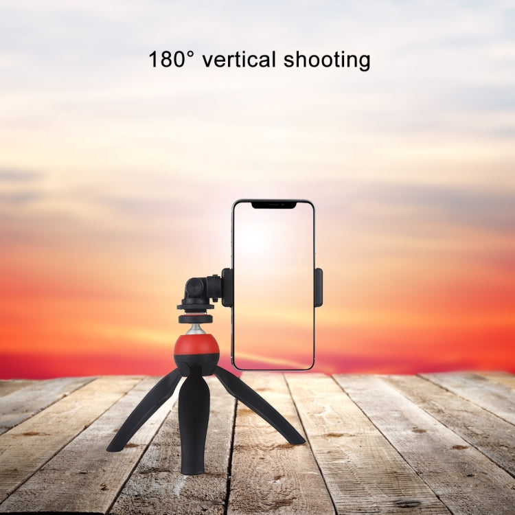 PULUZ 1/4 inch Screw Thread Cold Shoe Tripod Mount Adapter - Connection Mount by PULUZ | Online Shopping South Africa | PMC TechLife | Buy Now Pay Later Mobicred