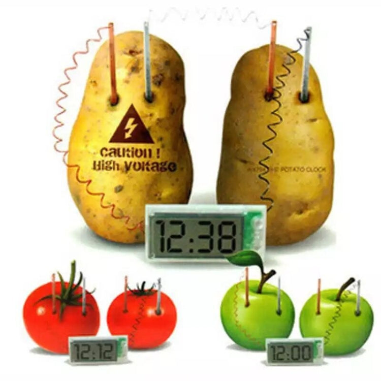 DIY Novel Green Science Potato Digital Clock Educational Kit with 2 inch LCD Screen (Potato NOT Included)(White) - Alarm Clocks by PMC TechLife | Online Shopping South Africa | PMC TechLife | Buy Now Pay Later Mobicred