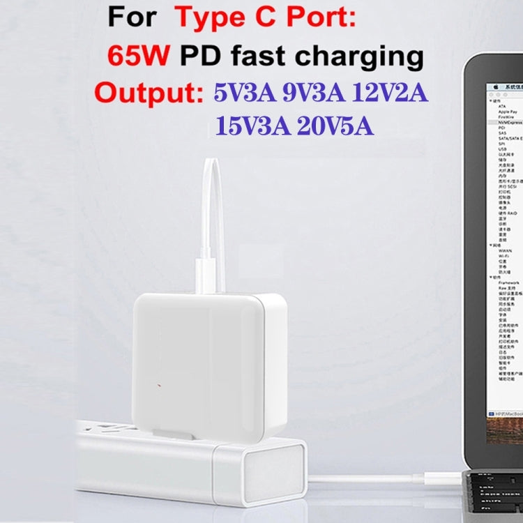 GaN 100W Dual USB + Dual USB-C/Type-C Multi Port Charger with 2m Type-C to Type-C Data Cable Set US / AU Plug - Cable & Adapter by PMC Jewellery | Online Shopping South Africa | PMC Jewellery | Buy Now Pay Later Mobicred