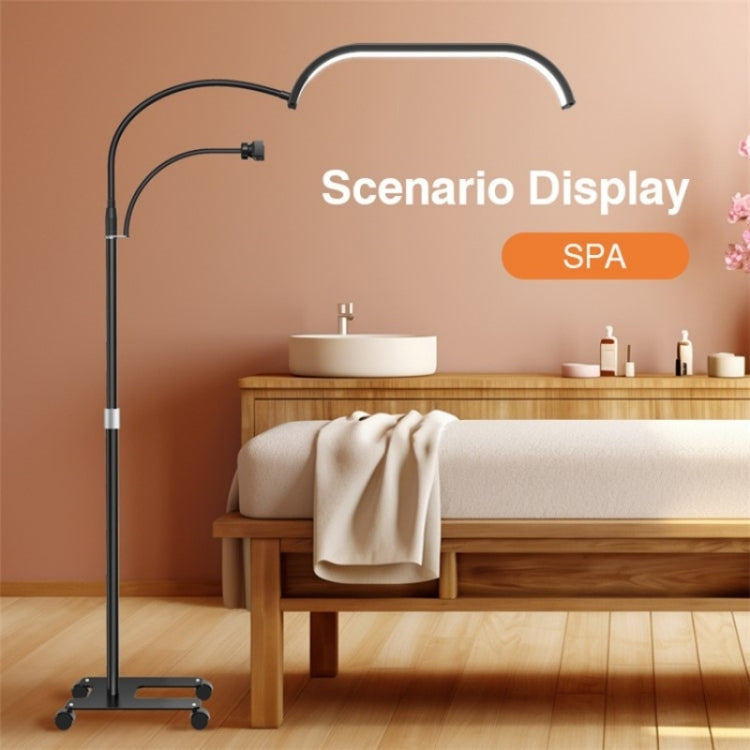 HD-G63X Floor Standing Remote Dimming LED Moon Lamp Manicure Eyelash Beauty Lamp(AU Plug) - Selfie Light by PMC TechLife | Online Shopping South Africa | PMC TechLife | Buy Now Pay Later Mobicred