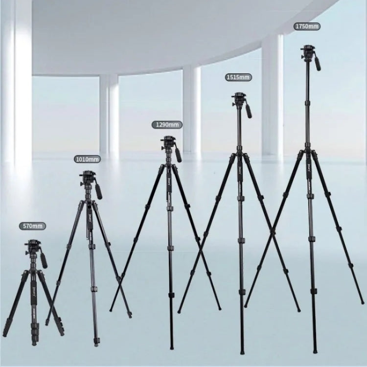JMARY KT285+NB50 Camera Stand Extendable Height Aluminum Alloy Camera Holder Tripod - free shipping - PMC TechLife - Order now!