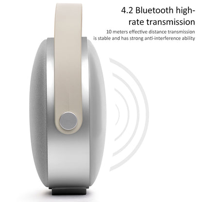 W-KING T8 HIFI Speaker 30W High Power Portable Bluetooth Speaker Wireless with FM Radio for Mobile Bluetooth Speaker(Silver grey) - Desktop Speaker by W-KING | Online Shopping South Africa | PMC Jewellery | Buy Now Pay Later Mobicred