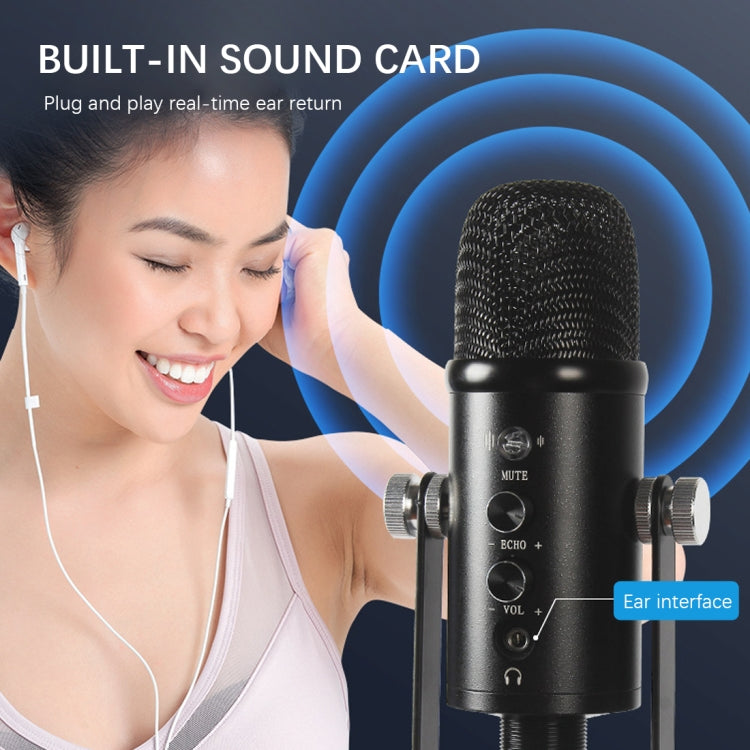 BM-86 USB Condenser Microphone Voice Recording Computer Microphone Live Broadcast Equipment Set, Specification: Standard+Small Blowout Prevention Net - Microphone by PMC Jewellery | Online Shopping South Africa | PMC Jewellery | Buy Now Pay Later Mobicred