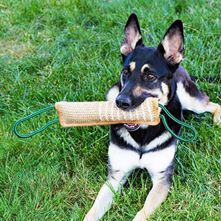 Dog Training Hemp Bite Stick Dog Bite Stick Dog Training Supplies(A2) - Training Aids by PMC TechLife | Online Shopping South Africa | PMC TechLife | Buy Now Pay Later Mobicred