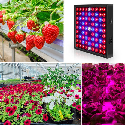 LED Plant Light Quantum Board Greenhouse Seedling Plant Growth Supplementary Light Full Spectrum Plant Planting Light, Power: 81 Beads EU Plug - LED Grow Lights by PMC Jewellery | Online Shopping South Africa | PMC Jewellery