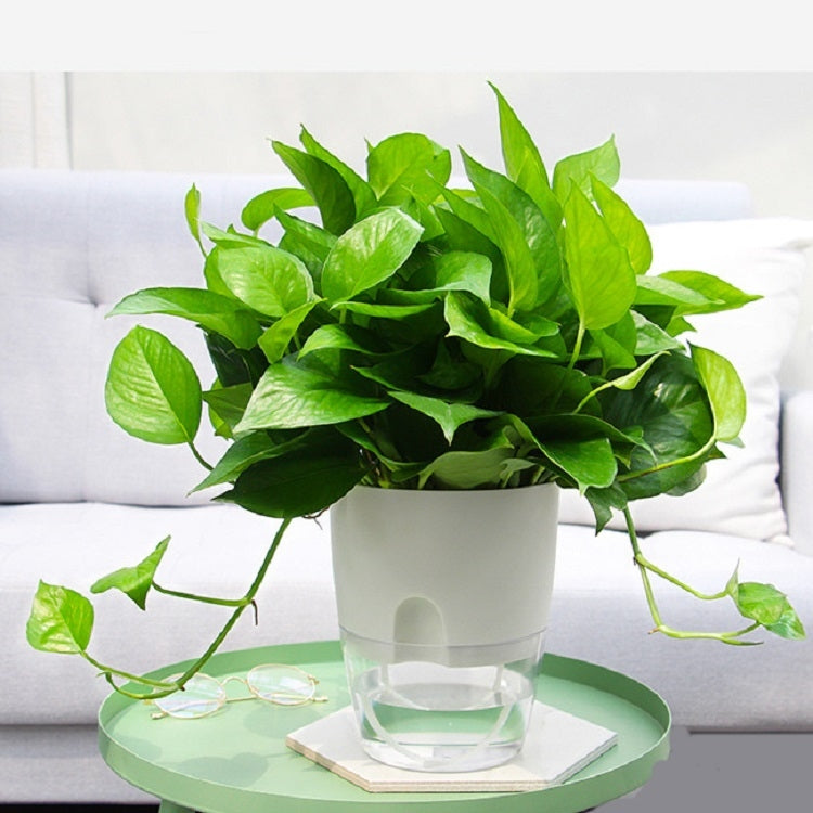 Transparent Plastic Double-Layer Water Storage Automatic Water-Absorbing Flowerpot, Size: A703 Caliber 8.2cm(White Transparent Basin) - Flower Pots & Planters by PMc TechLife | Online Shopping South Africa | PMc TechLife | Buy Now Pay Later Mobicred