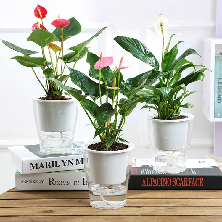 Fully Transparent Hydroponic Flower Pots Water Level Visible Non-Broken Glue Self-Absorbent Plastic Flower Pots, Size: W03 Caliber 11cm(Full Transparency) - Flower Pots & Planters by PMc TechLife | Online Shopping South Africa | PMc TechLife | Buy Now Pay Later Mobicred