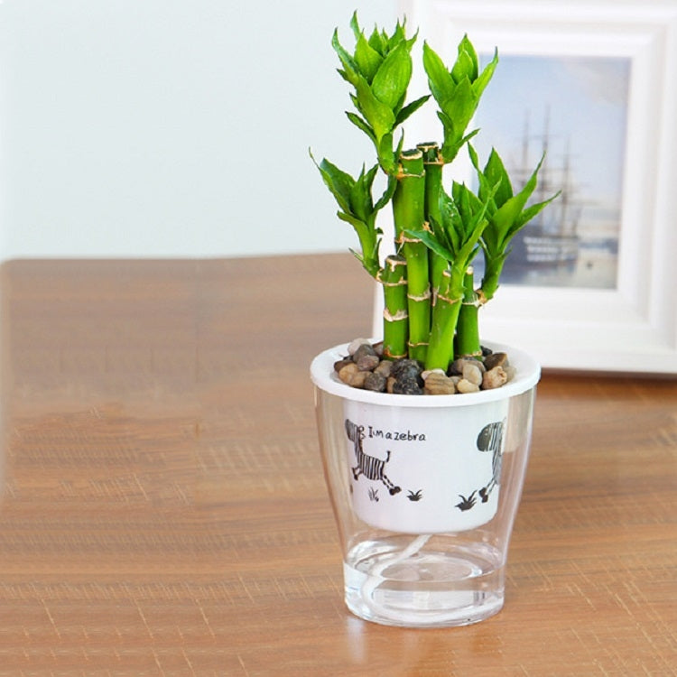 Fully Transparent Hydroponic Flower Pots Water Level Visible Non-Broken Glue Self-Absorbent Plastic Flower Pots, Size: W03 Caliber 11cm(Full Transparent Zebra Pattern) - Flower Pots & Planters by PMc TechLife | Online Shopping South Africa | PMc TechLife | Buy Now Pay Later Mobicred
