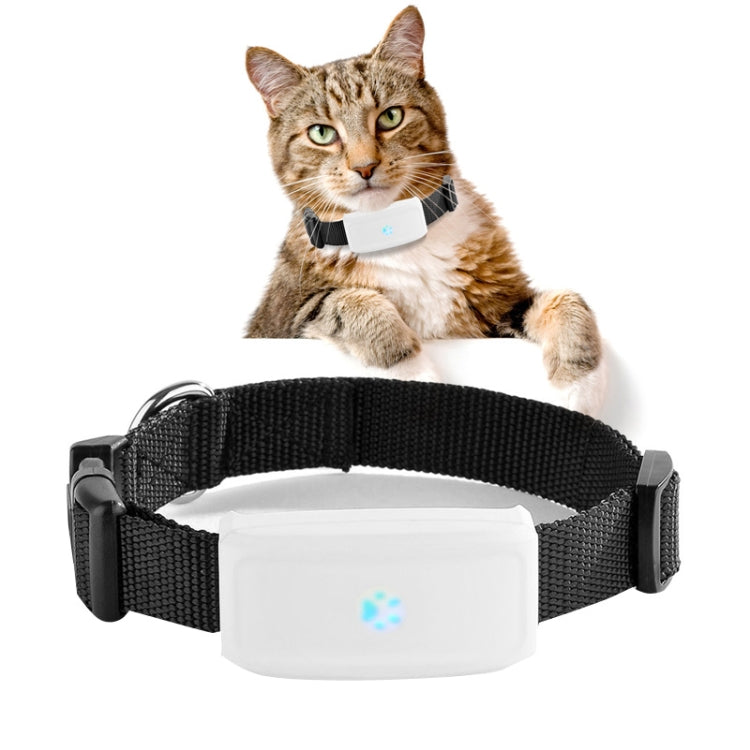 TK911 2G Pet Waterproof GPS Tracker - Pet Tracker by PMC TechLife | Online Shopping South Africa | PMC TechLife | Buy Now Pay Later Mobicred