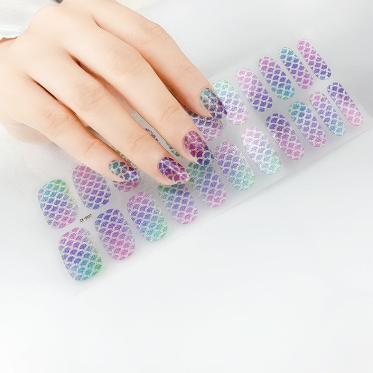 22 Fingers Shiny Onion Powder Starry Waterproof Nail Sticker(ZX-3027) - Nail Stickers by PMC Jewellery | Online Shopping South Africa | PMC Jewellery | Buy Now Pay Later Mobicred