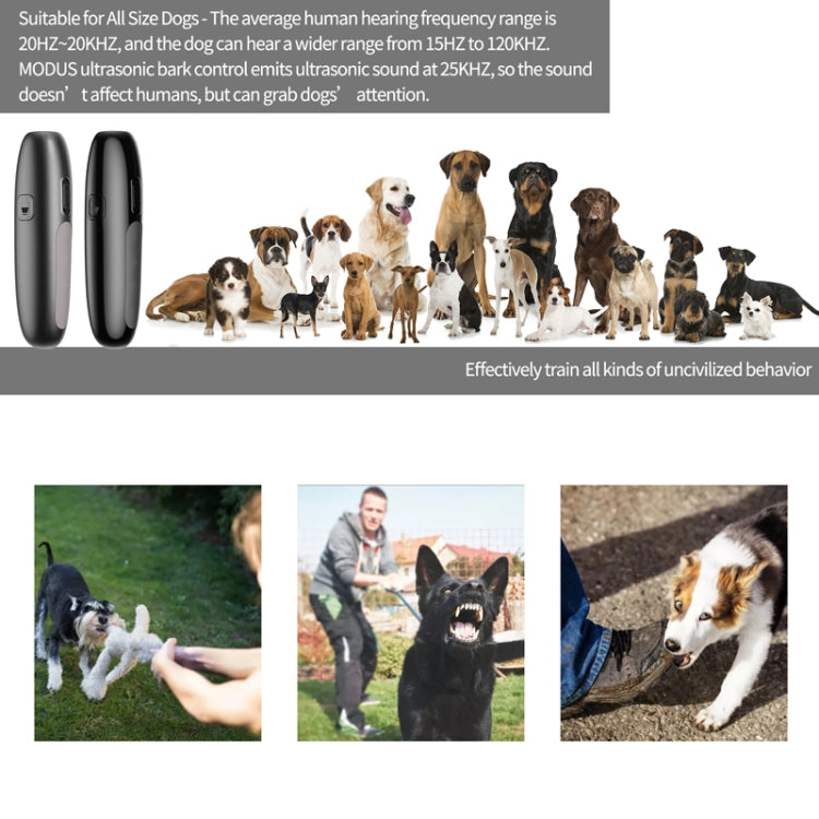 UB100 Ultrasonic Trainer Barking Device Handheld Portable Driving Artifact(Silver) - Training Aids by PMC TechLife | Online Shopping South Africa | PMC TechLife | Buy Now Pay Later Mobicred