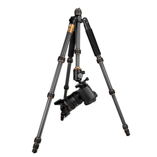 QingZhuangShiDai Q666C Portable Travel Photography Ball Head SLR Camera Carbon Fiber Tripod(Black) - Tripods by QingZhuangShiDai | Online Shopping South Africa | PMC Jewellery | Buy Now Pay Later Mobicred