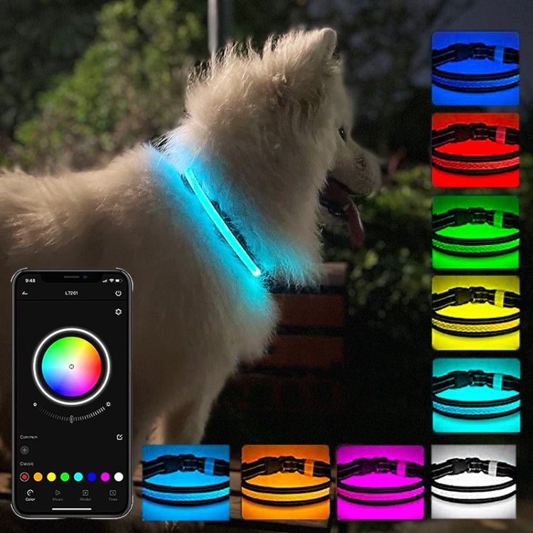LED Rechargeable Wear-resistant and Waterproof Pet Lighting Collar, Size: XS(Black) - Collars by PMC TechLife | Online Shopping South Africa | PMC TechLife | Buy Now Pay Later Mobicred