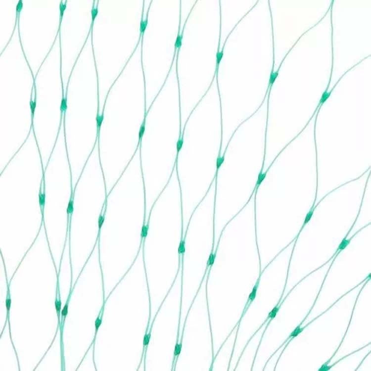 4Mx5M  Anti Bird Protection Net Mesh Garden Plant Netting Protect Plants and Fruit - Garden Netting by PMC TechLife | Online Shopping South Africa | PMC TechLife | Buy Now Pay Later Mobicred